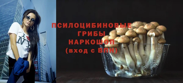 гашиш Горнозаводск